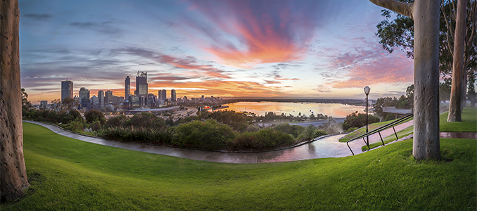Perth and Swan River from Kings Park